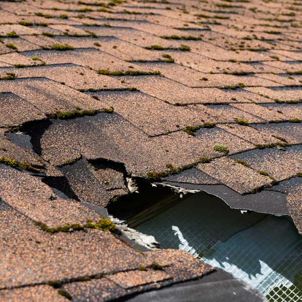 MapleLeafLossConsultants-1326039992