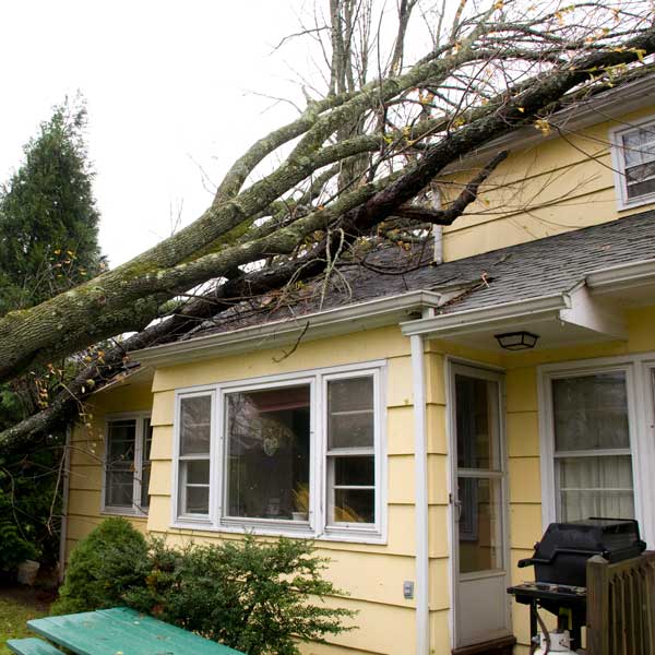 MapleLeafLossConsultants-178756342